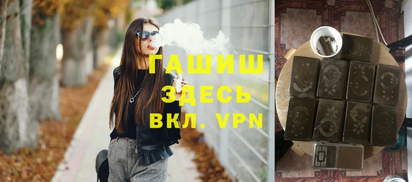 гашик Дмитров