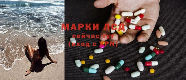 гашик Дмитров