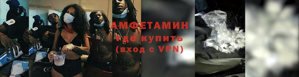 гашик Дмитров