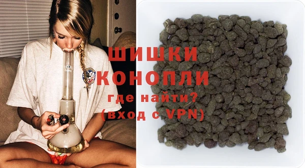 соль ск Гусев