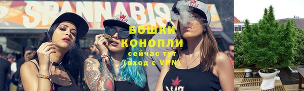 гашик Дмитров