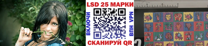 Купить закладки  Порхов  Марки NBOMe 1500мкг 