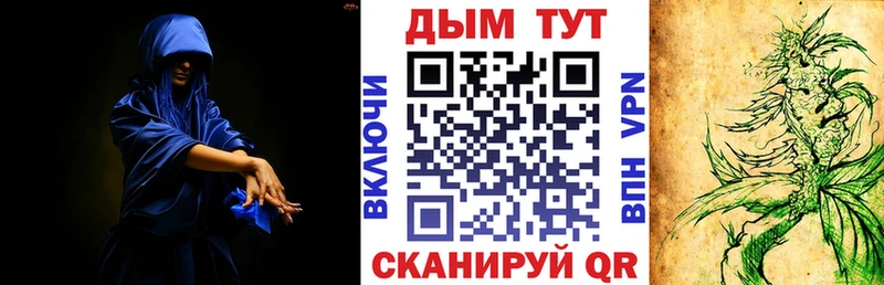 Купить  Порхов  Марихуана MAZAR 